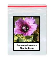 50 Sementes De Lavatera Flor do Bispo 50 Sementes De Lavatera Flor do Bispo