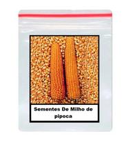50 Sementes De Milho de pipoca 50 Sementes De Milho de pipoca