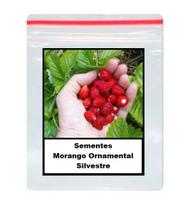 50 Sementes de Morango Ornamental 50 Sementes de Morango Ornamental