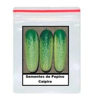 50 Sementes de Pepino Caipira 50 Sementes de Pepino Caipira