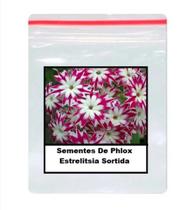 50 Sementes De Phlox Estrelitsia Sortida 50 Sementes De Phlox Estrelitsia Sortida