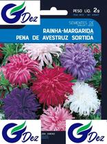 50 Sementes De Rainha Margarida Beauté Damerique Sortida 50 Sementes De Rainha Margarida Beauté Damerique Sortida
