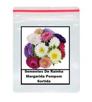 50 Sementes De Rainha Margarida Pompom Sortida 50 Sementes De Rainha Margarida Pompom Sortida
