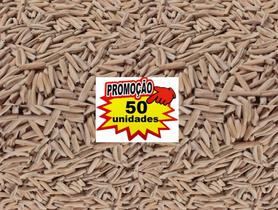 50 Sementes De Rosa Do Deserto Cores Sortidas