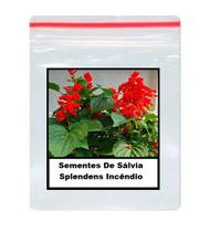 50 Sementes De Sálvia Splendens Incêndio 50 Sementes De Sálvia Splendens Incêndio