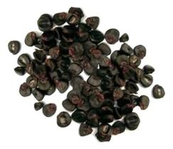 50 sementes milho roxo peruano maiz morado para plantio