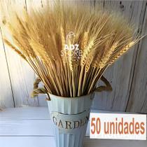 50 Trigos Seco Natural para Decoração de Festa, Casamento, Natal e Arranjos em Geral - Haste Grande 50 Trigos Seco Natural para Decoração de Festa, Casamento, Natal e Arranjos em Geral - Haste Grande