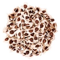 500 Semente de Moringa Silagem Plantio Forragem Gado Alta Germinação