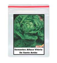500 Sementes De alface vitória de santo antão