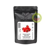 500 SEMENTES Tomate Híbrido Sweet Dreams