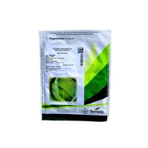 5000 Sementes Repolho Hibrido Astrus Plus Seminis Resistente