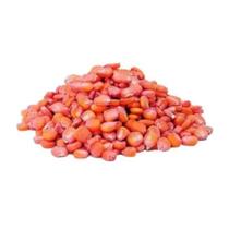 500G Milho Para Plantio ( Milho de Pamonha ) - Milho Hibrido Grande