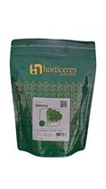 500g Sementes De Rúcula Selecta folha Larga Horticeres 500g Sementes De Rúcula Selecta folha Larga Horticeres