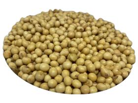 500gr Soja em Grãos