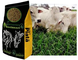 5kg Brachiaria brs capim piatã exelente para formar pastagem