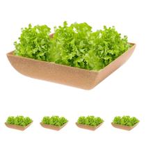 5un Saladeira Quadrada 1,4 Lt Evo Petisqueira Marrom Claro