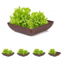 5un Saladeira Quadrada 2,9 Lt Vasilha Petisqueira Marrom Es 5un Saladeira Quadrada 2,9 Lt Vasilha Petisqueira Marrom Es