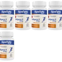 5x Colágeno Tipo 2 + Vitamina C 500mg 60 Comprimidos - ApisNutri