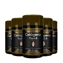 5X Colágeno Tipo Ii 120 Cápsulas Hf Suplementos