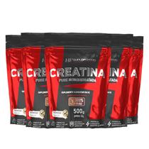 5x creatina em pó 500g pura hf suplementos 5x creatina em pó 500g pura hf suplementos