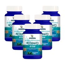 5x Suplemento Picolinato de Cromo 60 Caps 500mg 5x Suplemento Picolinato de Cromo 60 Caps 500mg