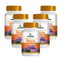 5x Suplemento Psyllium c/ Laranja Moro 60 Caps 500mg