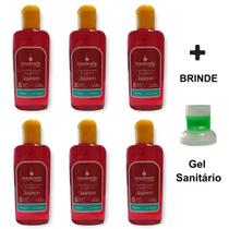 6 Aromatizante Concentrado Desinfetante Cheiroso Essência Ambiente Top 140ml Senalândia - Envio Já