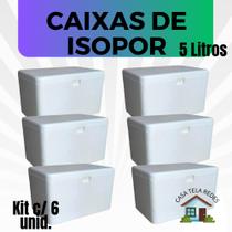 6 Caixas de Isopor EPS 5 litros para Gelo, refrigerante, latas, sorvetes e medicamentos