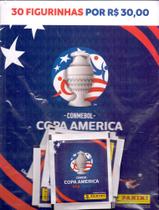 6 env copa america 2024