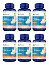 6 Enzima Lactase Muwiz 60 Cápsulas Envio Imediato