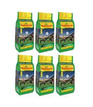 6 Erva mate Chimarrão MADRUGADA VERDE NATIVA Moagem Fina 1kg 6 Erva mate Chimarrão MADRUGADA VERDE NATIVA Moagem Fina 1kg
