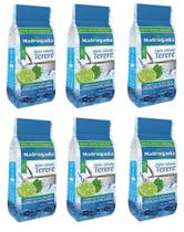 6 Erva Mate Tereré MADRUGADA LIMÃO E MENTA composta 500g 6 Erva Mate Tereré MADRUGADA LIMÃO E MENTA composta 500g
