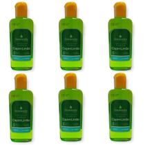 6 Essência Perfumada Senalândia 140ml Lavanda Talco Cereja Avelã Bambu Algas Mari Capim - Envio Já