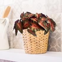 6 hastes de folhagem cores lindas aparência real planta artificial floristas estilo faça você mesmo - DE1423