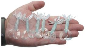 6 Iscas Artificial Pesca Soft Grub Silicone 2 Anzol Jig Head