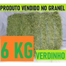 6 KG Feno Tifton 85 Verdinho Para Porquinho da India, Coelho E Roedores em Geral. 6 KG Feno Tifton 85 Verdinho Para Porquinho da India, Coelho E Roedores em Geral.