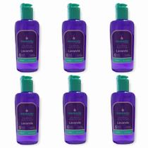 6 Limpador Desinfetante Essência 140ml Lavanda Talco Cereja Avelã Bambu Algas Mari Capim - Envio Já 6 Limpador Desinfetante Essência 140ml Lavanda Talco Cereja Avelã Bambu Algas Mari Capim - Envio Já
