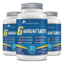 6 Magnésios (Taurato, Malato, Quelato, Citrato, Ascorbato e Óxido) Kit 3x 60 Cápsulas Cada - Flora Nativa