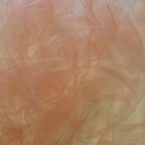 6 Metros Tecido Tule 100% Poliester 1,20 Mt Largura Salmão 6 Metros Tecido Tule 100% Poliester 1,20 Mt Largura Salmão