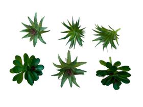 6 Mini Suculenta Planta Artificial Permanente Sem Cachepot