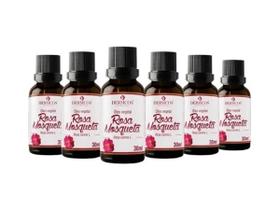 6 Oleo Vegetal Rosa Mosqueta 30ml