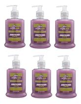 6 Sabonete Liquido Premium Jabuticaba Linn Spa Frasco 500ml