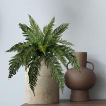 6 Samambaias Artificiais para Decoração de Ambientes com Folhagem Realista e Durável DE294912