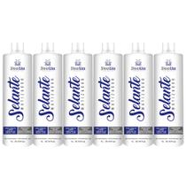 6 Selante Capilar Termico Matizador Nutritivo - Atacado