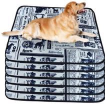 6 Tapetinhos Macios para Dormir Pet Antipulgas 300 Lavagens 70x50 Jornal 3 Camadas Quality 6 Tapetinhos Macios para Dormir Pet Antipulgas 300 Lavagens 70x50 Jornal 3 Camadas Quality