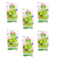 6 Unidades Sementes Rúcula Precoce Folha Larga Isla 100g 6 Unidades Sementes Rúcula Precoce Folha Larga Isla 100g