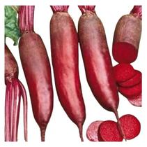 60 Sementes De Beterraba Comprida Vermelha