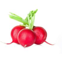 60 Sementes de Rabanete Crimson gigante
