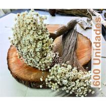 600 Flores Sempre Vivas Natural Flor Desidratada seca para decoração, lembrancinha e arranjos