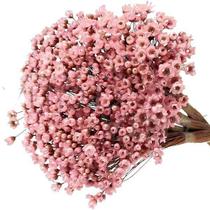 600 Sempre Viva Florzinha Cor de Rosa I Flores Desidratadas